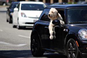 Bill Jacobs Mini Test Drive Event