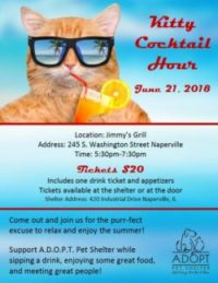 Kitty Cocktail Hour