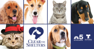 Clear the Shelters!