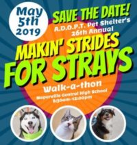 5/5 – Makin’ Strides for Strays Walk-a-thon