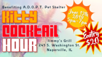 6/13 – Kitty Cocktail Hour
