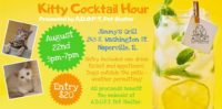 8/22 – Kitty Cocktail Hour