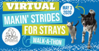 Virtual Makin' Strides for Strays on May 3rd, 2020 Virtual Makin' Strides for Strays on May 3rd, 2020