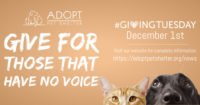 GT FB Shared Image GT FB Shared Image